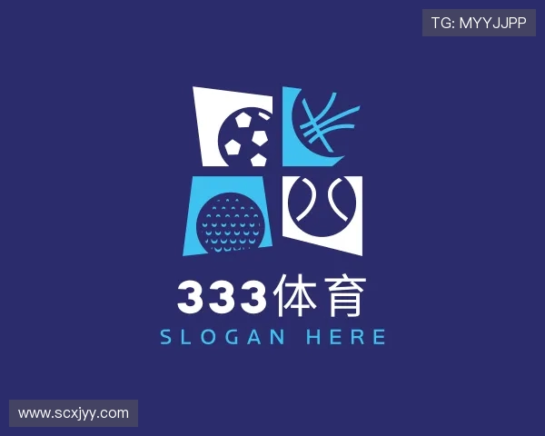 发现333体育